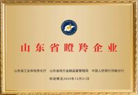 喜讯！山东艾琳智能科技荣获省级瞪羚企业