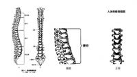 儿童床垫挑选9大避坑指南六：22 什么才是护脊的儿童床垫？