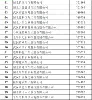 2022武汉民企100强公布