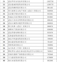 2022武汉民企100强公布
