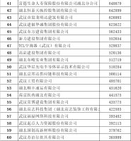 2022武汉民企100强公布