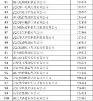 2022武汉民企100强公布