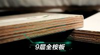 实木真芯 美学典范，千年舟饰能板饰面系列深度评测