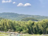 重磅！丽维家携福人集团、联创资本等考察川南竹资源