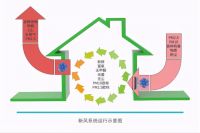 还在当人肉净化机？这些除甲醛办法告诉你