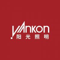 公牛、欧普、木林森、阳光、佛照、三雄极光相继亮相,谁是“战略之王”?