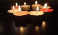 最常见的3大除甲醛翻车现场，来瞅瞅你家中招了吗