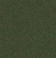 【领绣·菁华】光和森林系列—坠入绿野仙踪的童话里