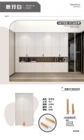 轻奢新宠！韩师傅净醛PET门板定制系列