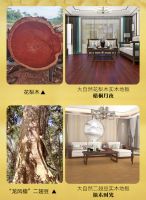 大自然家居独家透露：这俩木种将涨价