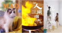 京东小家电年度新品大赏，重塑美好生活