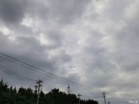 别再只靠通风除甲醛了，想要快速入住新房，还可以这样做！