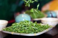 如何储存春茶？教你几个方法轻松留住茶叶香气