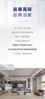 品质315| 行业高标 品质领航