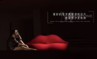视线 | 2023龙抬头 红星美凯龙拨开迷雾
