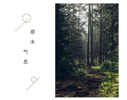 原生态的木纹印象,生活中的理想家