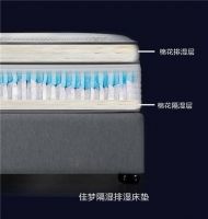 深圳寐棉棉床垫佳梦重磅上市