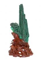 首届“羊城杯”赏石艺术展盛大举办