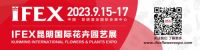 阔别三年，强势回归！昆明花展正式启动！