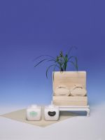 当代中国时尚与生活新美学 | SHANG XIA上下家居新品发布