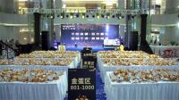 金可儿“一生所承IV”圆满收官，多节狂欢购开启护脊睡眠新潮流