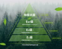 兔宝宝守护珍贵树种 | 以木之名，守护每一点绿色