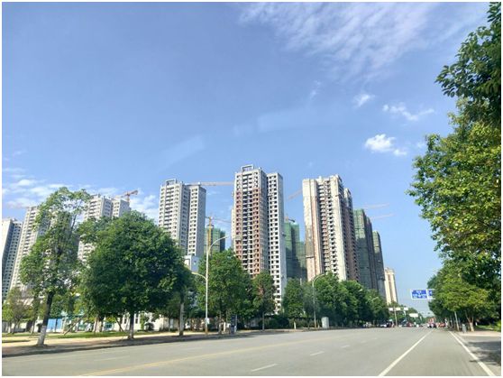 明珠老友拜访丨省心整家，让美好如约到家