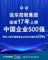 官宣！远东控股连续17年上榜中国企业500强