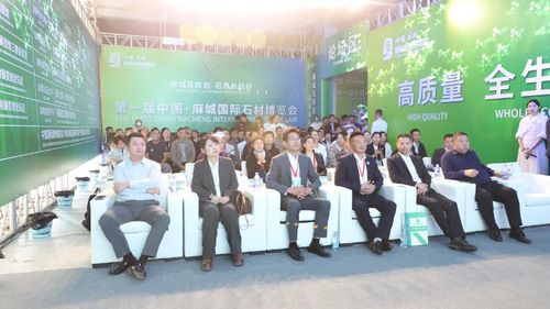 中国花岗石创新转型论坛成功举办