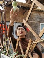 醉心紫微辨阴阳 成人达己解乾坤 ——访国学紫微文化传播使者邓红玲