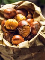 新品上市｜Goodwife好太太，让诗意秋日驻进厨房里