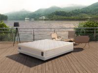 金可儿呵护季Ⅳ碰撞双11，“护脊”理念打造金质睡眠新体验