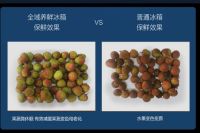 2023双十一冰箱攻略来啦：超高性价比和大容量的冰箱，强烈种草！