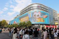 天坛整装旗舰店即将亮相杭州：传承67年国企品质，打造无忧装修体验