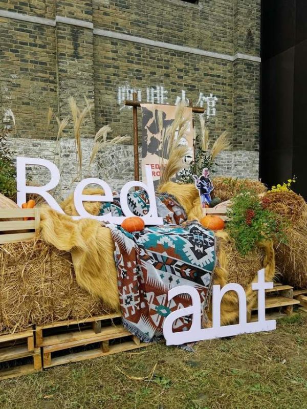 烟火里的好生活 | 红蚂蚁双11钜惠家装抢定节精彩回顾！