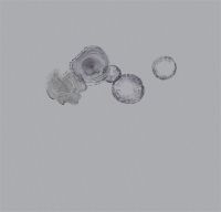 【领绣】岁月沉淀，演绎空间艺术