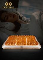 技术流的DOLOMIA再现超级枕王的顶配装置，其国际地位日益攀升