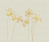 【领绣菁华】月映百合，写意自然，感受极简画意中的东方韵味