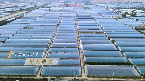 海尔骄阳空气能热泵冷暖一体机进驻蔬菜之都，助力生态低碳农业