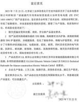 远东股份打造“缆储一体”前瞻性战略布局