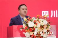 居然之家内江店创造行业招商奇迹,开业现场人潮如织盛况空前