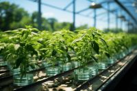 上海三思立体育苗系统Vertical X打造“不见光”人工农场