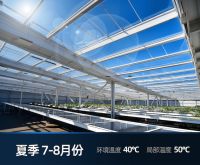 上海三思立体育苗系统Vertical X打造“不见光”人工农场