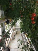 第三站 ！四季沐歌《南极科普大讲堂》走进陕西陇县曹家湾三里营小学