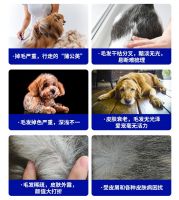 国货自强，专业至上丨蓝爪——树立美毛宠粮新标杆