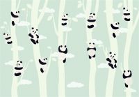 【领绣菁华】与熊猫的浪漫邂逅，共度自然温馨的生活时光