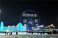 零下三十度的哈尔滨，迎来了繁花似锦的“温暖春天”