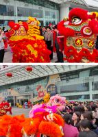 正月初八，罗浮宫家居舞狮欢庆开门红！