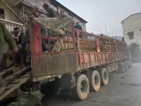 泸州红木行业一颗璀璨的新星——张家港蜀风木业王徐