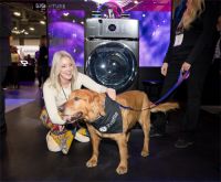 中国企业创牌：不只卖产品，更把品牌卖到用户家